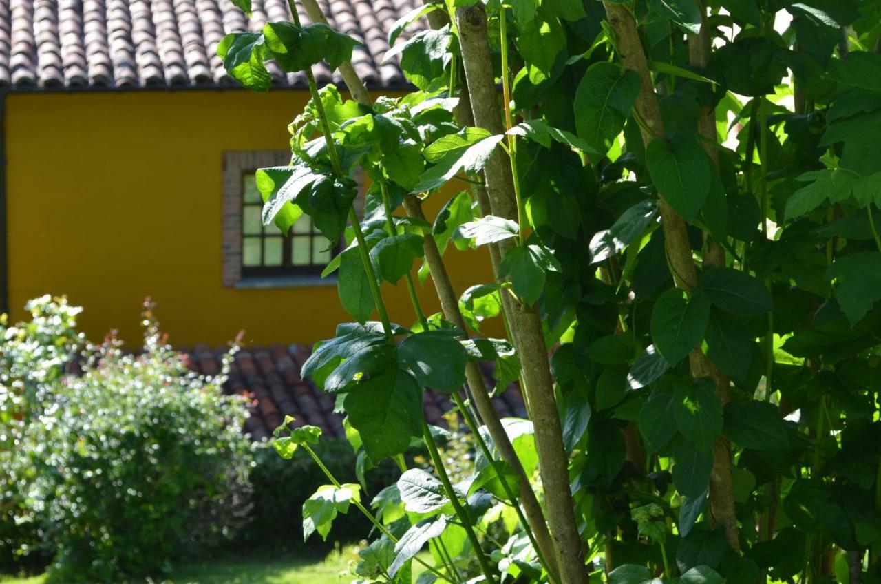 Casa Rural El Bellucu Onís Exterior foto